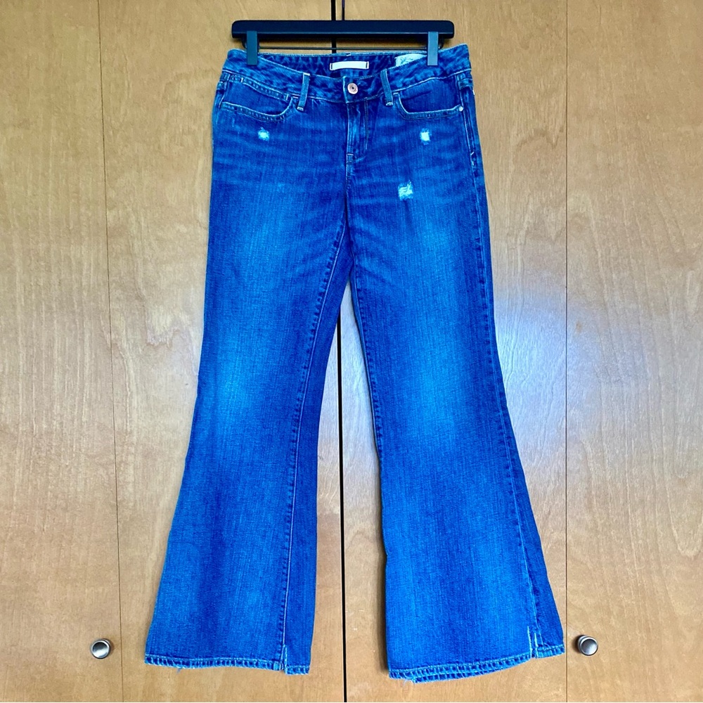 GAP Limited Edition Low Rise Baggy Distressed Flare Jeans